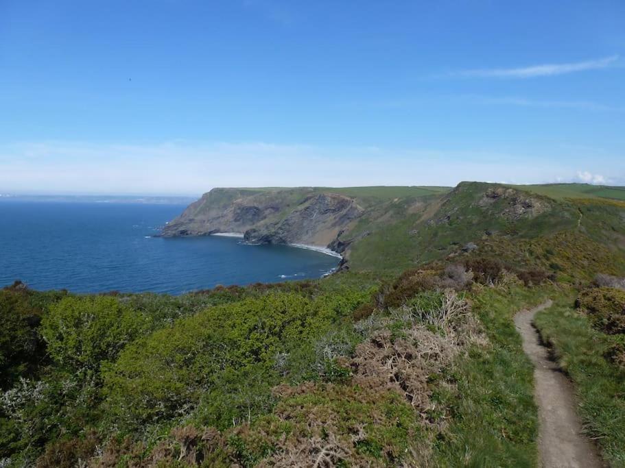 Lower Tresmorn Farmhouse Crackington Haven Buitenkant foto